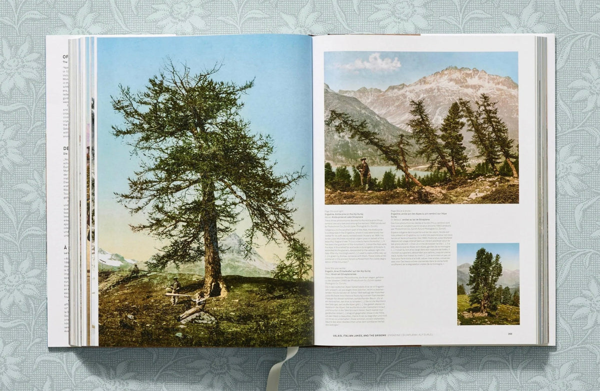 The Alps 1900: A Portrait in Color | Sabine Arqué & Agnès Couzy