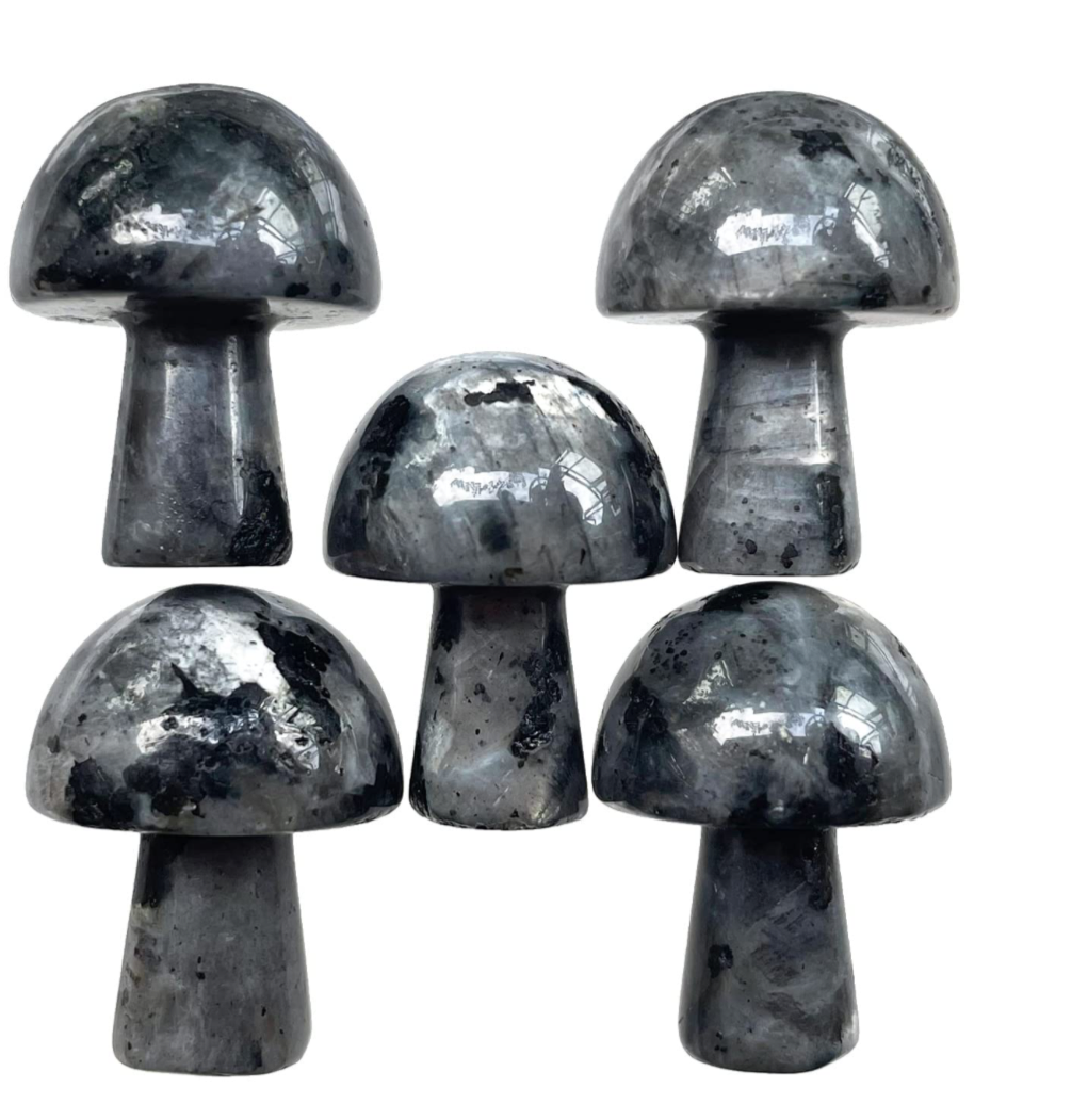 Mini Mushrooms