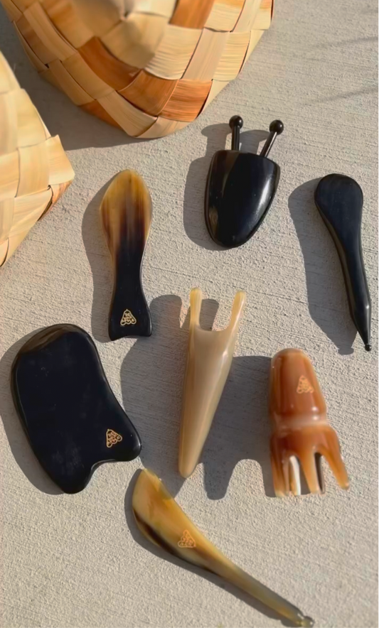 The Wax Apple Massage Tool Ox Horn Guasha