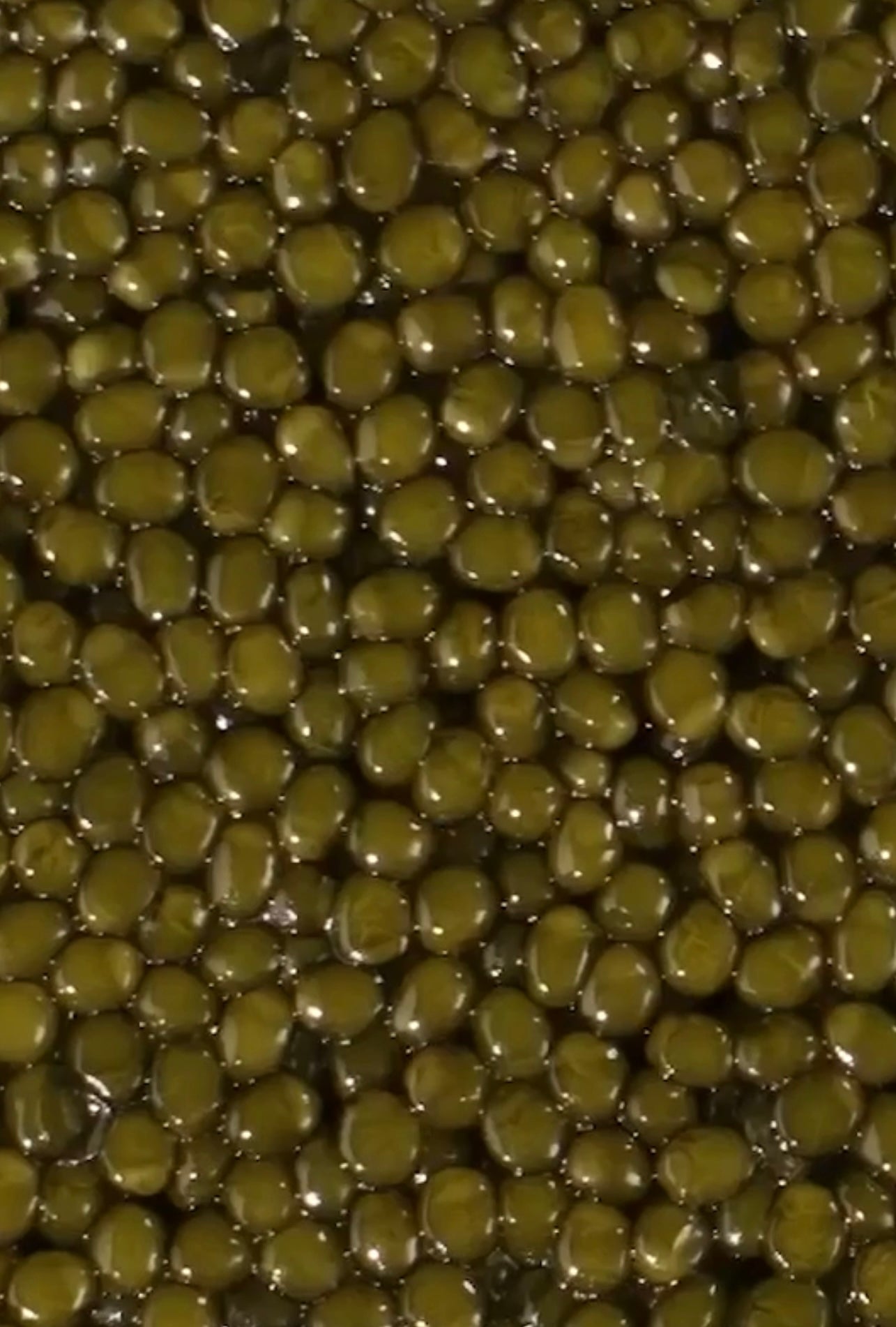 Petrossian Tsar Imperial® Beluga Hybrid Caviar
