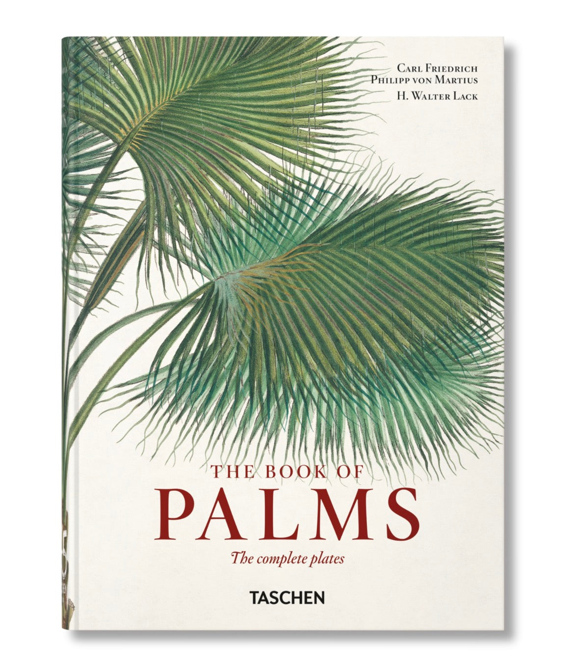 Martius. The Book of Palms. 45th Ed.