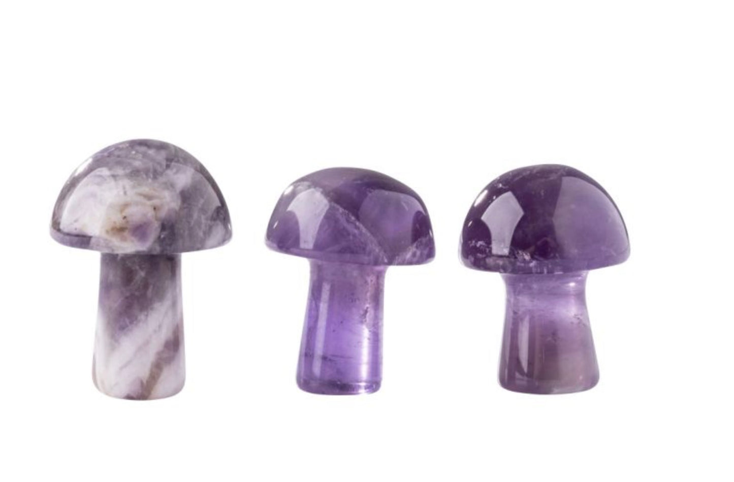 Mini Mushrooms