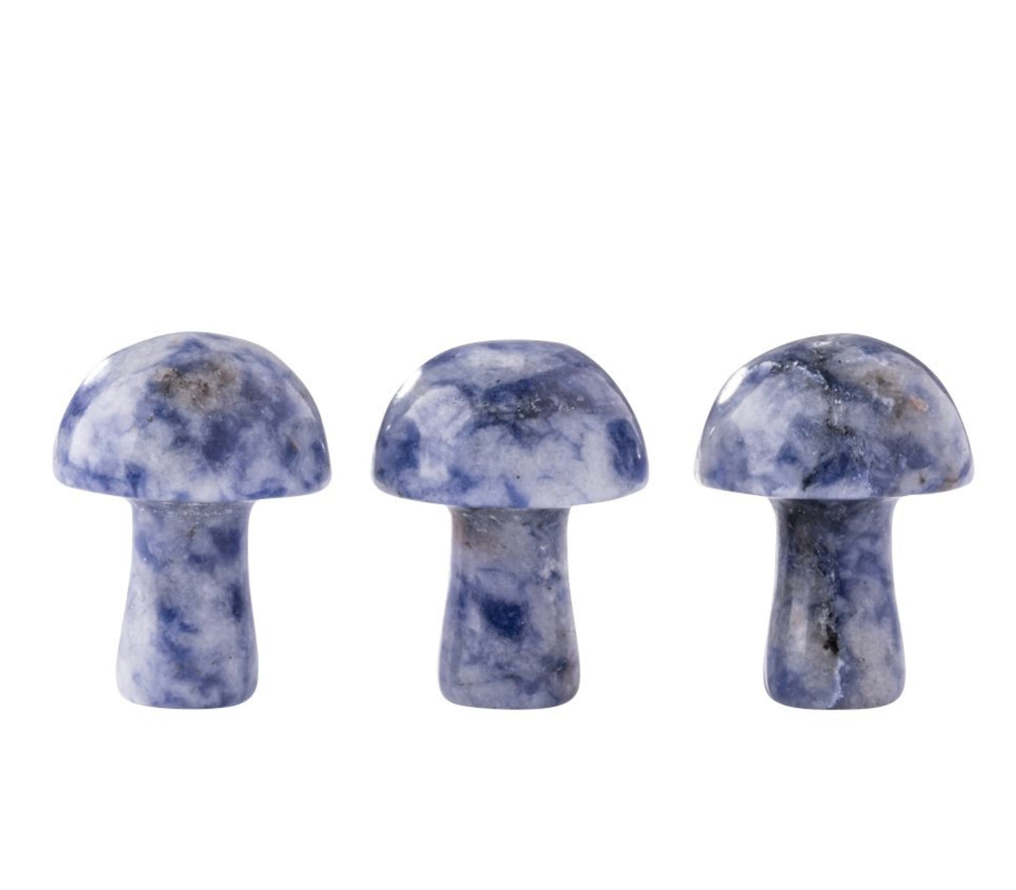 Mini Mushrooms