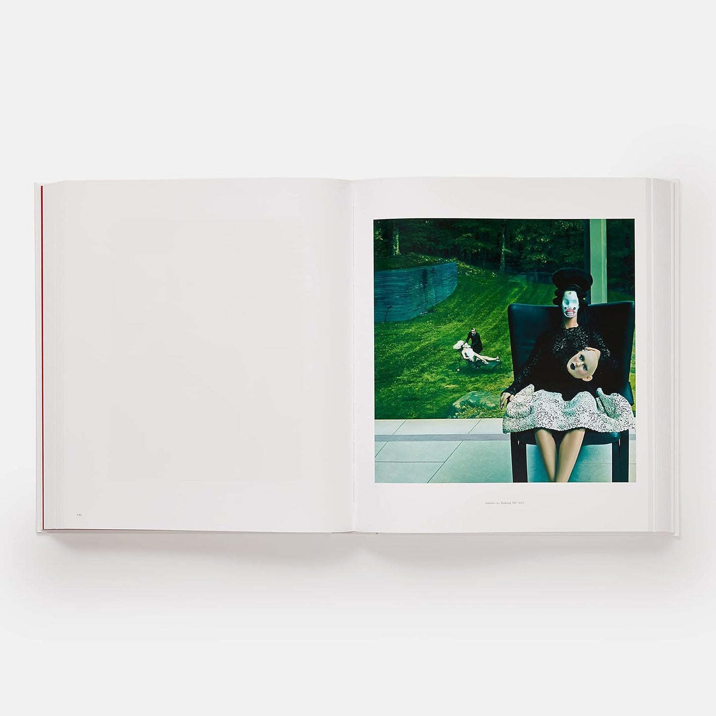 Steven Klein Book