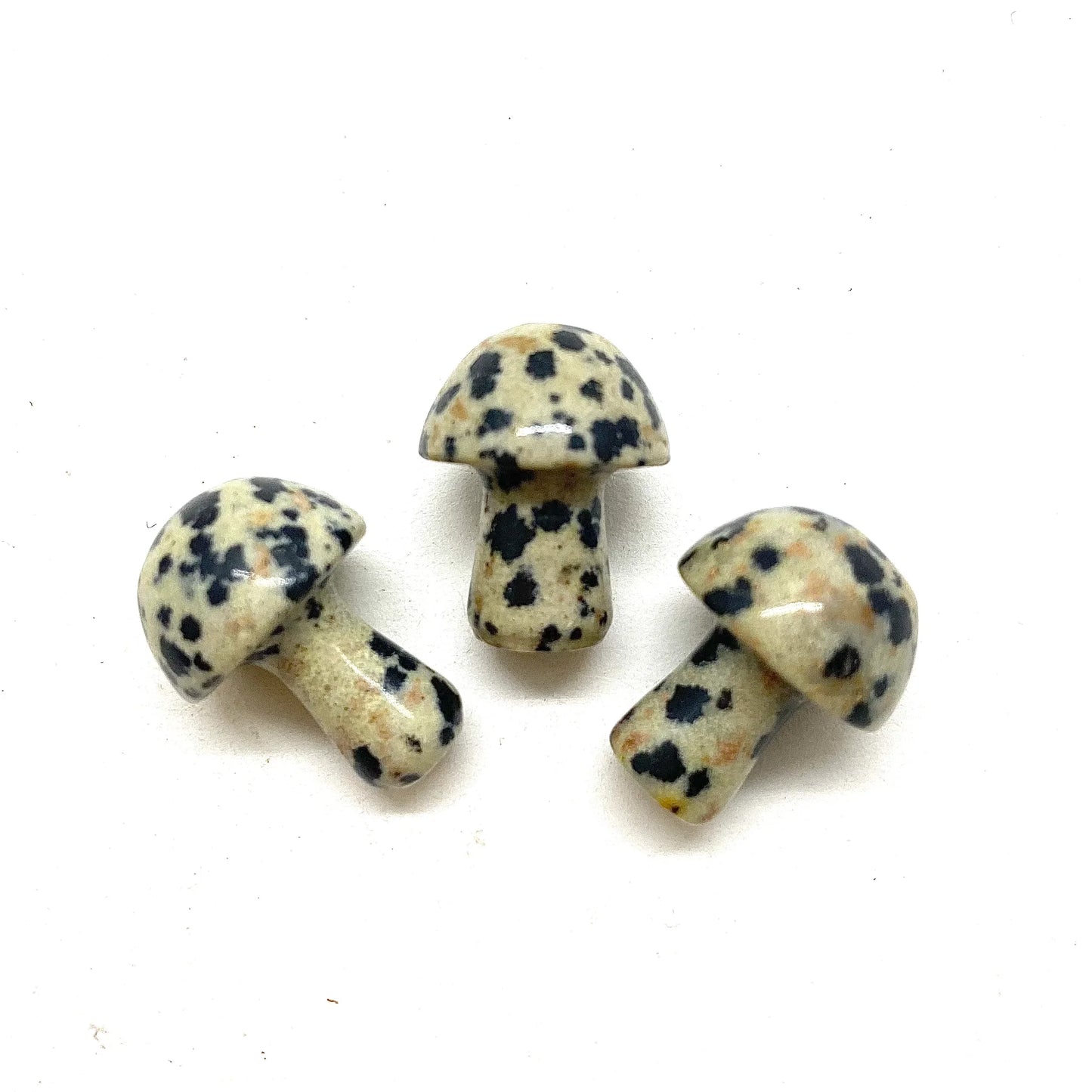 Mini Mushrooms