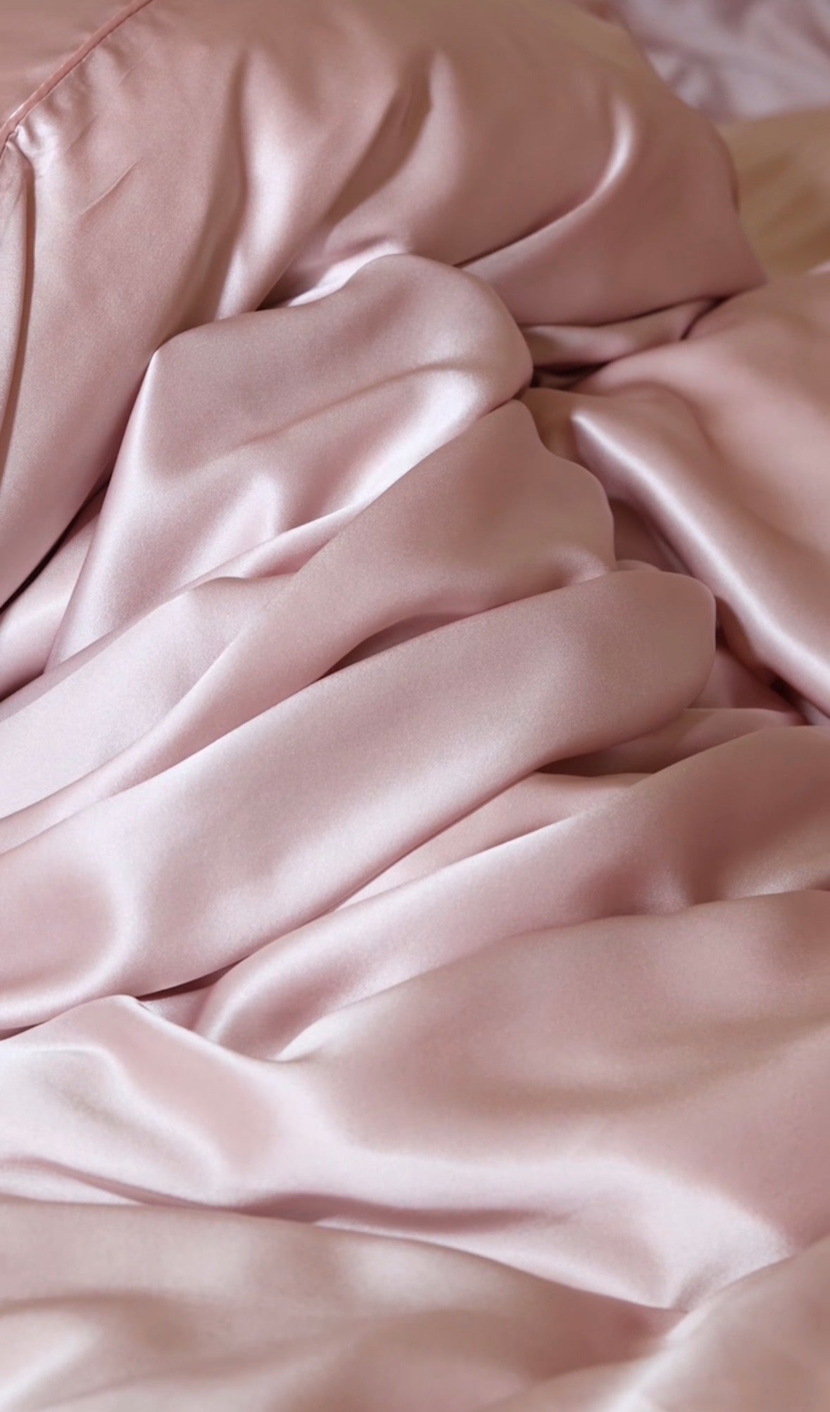 PUNCH 19m mulberry charmeuse silk California King shams (2pcs) solid pale pink